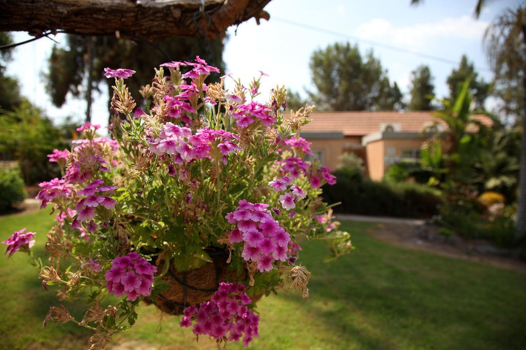 Shaar Hagolan Kibbutz Country Lodging Zewnętrze zdjęcie