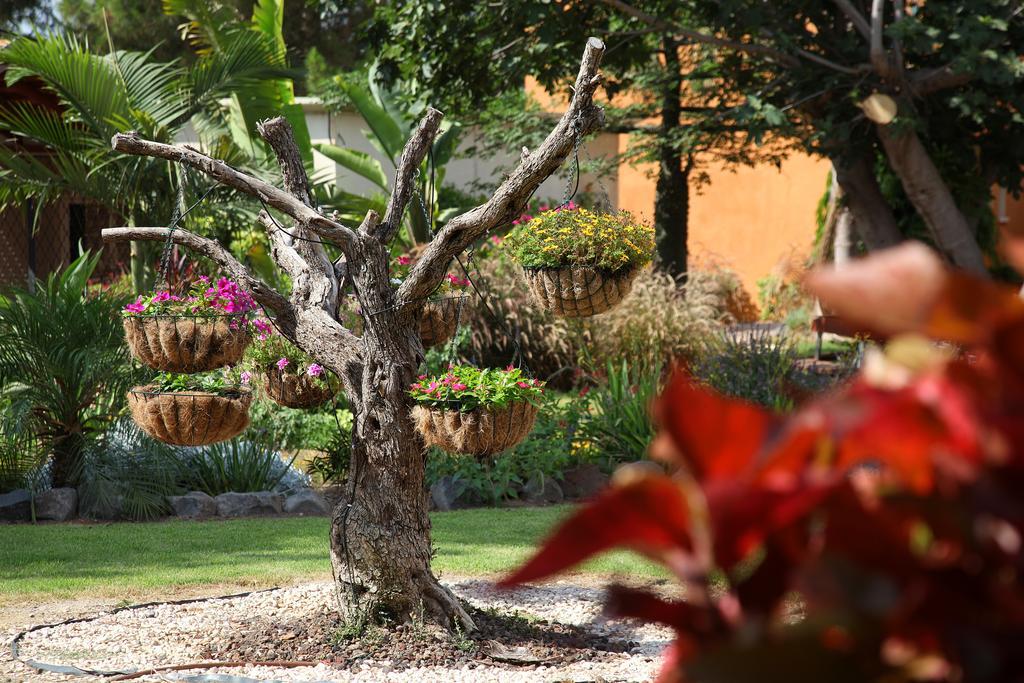 Shaar Hagolan Kibbutz Country Lodging Zewnętrze zdjęcie