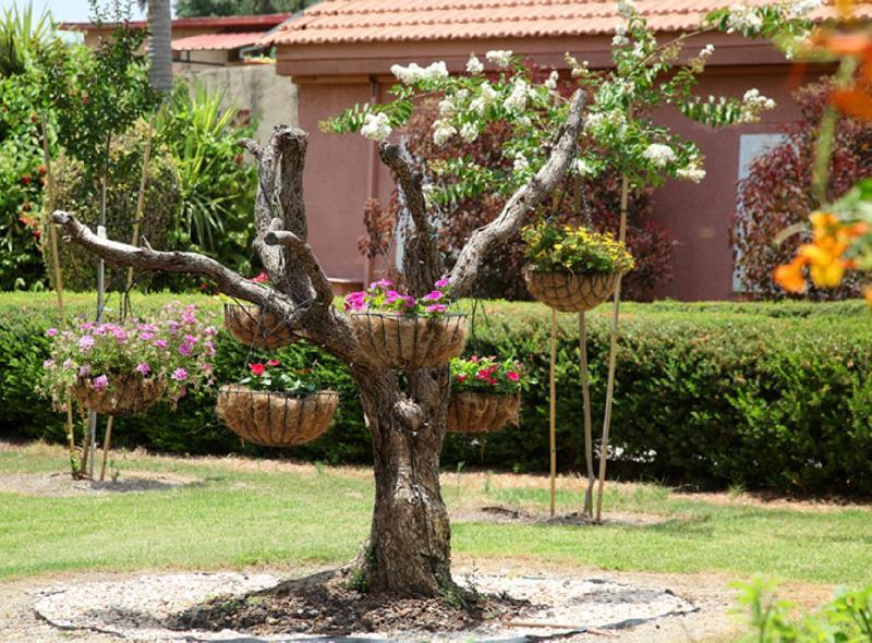 Shaar Hagolan Kibbutz Country Lodging Zewnętrze zdjęcie
